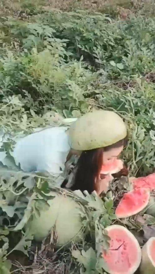 吃瓜搞笑的姑娘,揭秘吃瓜搞笑姑娘的欢乐日常