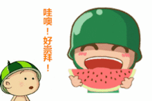 吃瓜有风险请谨慎吃瓜,揭秘网络舆论背后的风险与真相