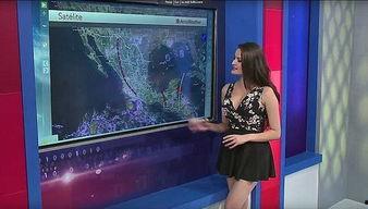 吃瓜跳舞主播,娱乐界的跨界新宠