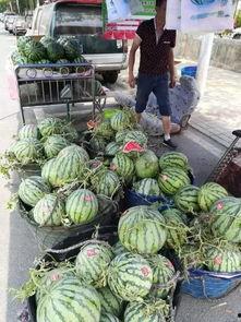 峄城吃瓜事件视频,一场引发热议的网络风波