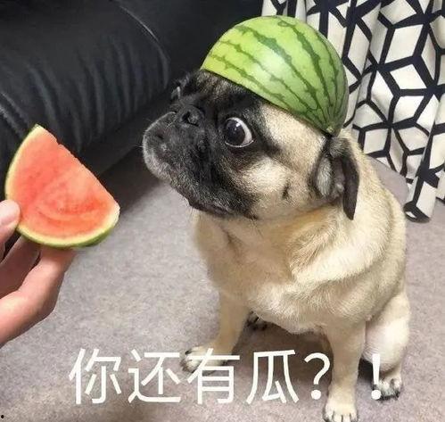 你号没了吃瓜,吃瓜群众如何应对网络事件