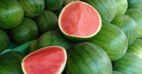 吃瓜吗该回什么呢,揭秘娱乐圈最新热点事件