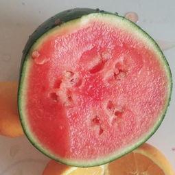 吃瓜氧气小花,揭秘吃瓜界的清新力量