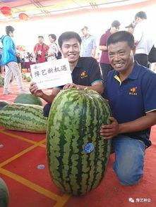 开封袁月吃瓜,揭秘网红美食背后的故事