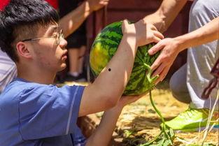 大学吃瓜教官,揭秘校园里的神秘教官生活