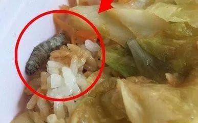 孕妇吃瓜里面吃到虫子,孕妇吃瓜意外吃到虫子，食品安全引关注