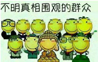 吃瓜群众凯莉是谁,网络红人的崛起之路