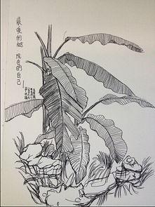 写生出游版吃瓜,共享瓜果时光