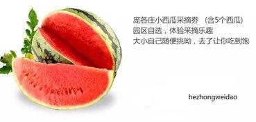 山与味今日吃瓜,揭秘美食背后的趣味故事