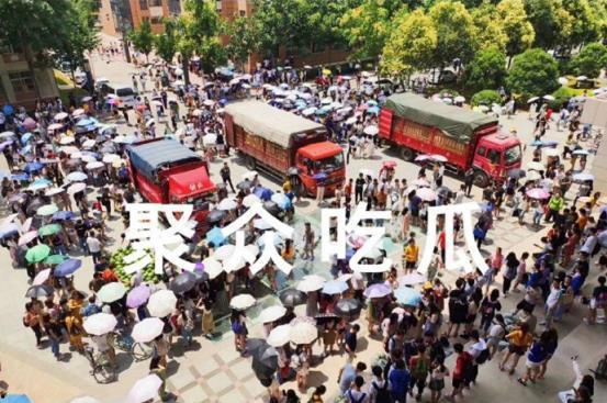 5大高校吃瓜,揭秘校园里的那些“吃瓜”故事