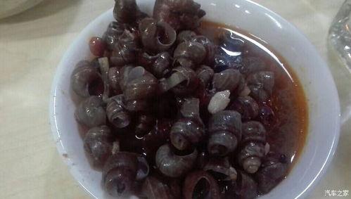 广西柳州吃长瓜,长瓜的独特风味之旅