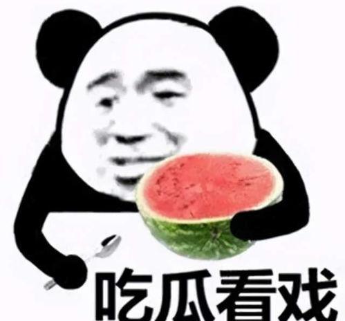 吃瓜表情神回复,揭秘网络社交中的幽默智慧