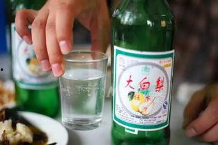 吃瓜观众饮品有哪些,吃瓜观众必备饮品大盘点